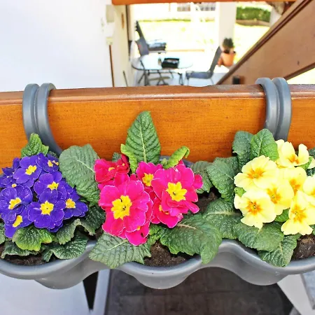 Haus Sailer By Interhome Oberperfuss